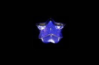 Shining Star